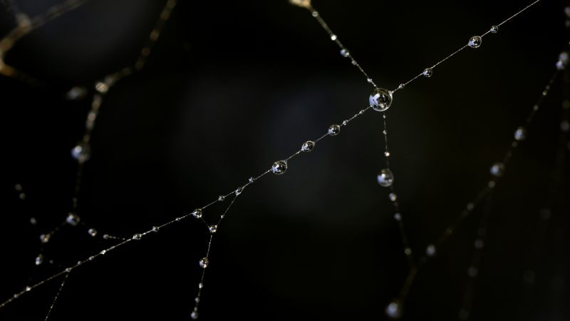 如何高效使用21世纪网教育网？不同身份的用户路径 配图