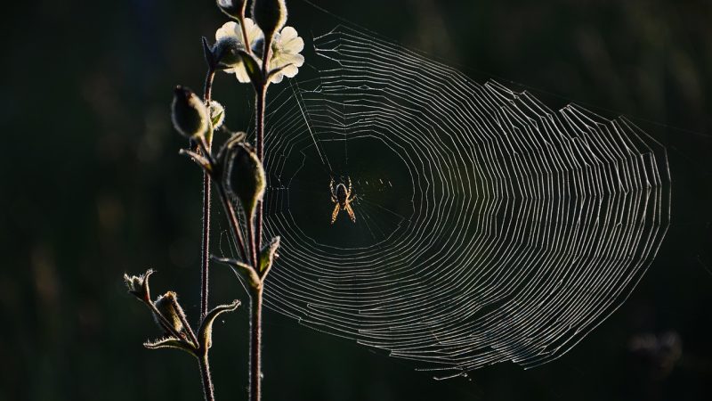 21世纪网教育网职业教育与培训资讯板块：求职者与 配图